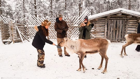 Wilderness lunch safari - 2 hour Reindeer safari with soup lunch