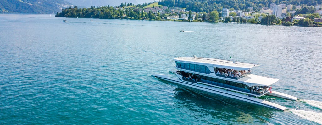 Crucero en catamarán de 1 hora por el lago de Lucerna