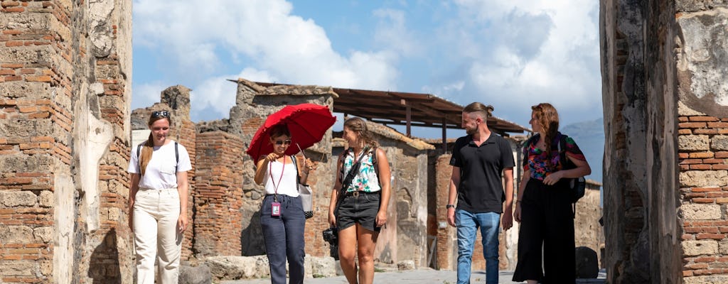 Pompeii and Mount Vesuvius Select Tour with Local Lunch