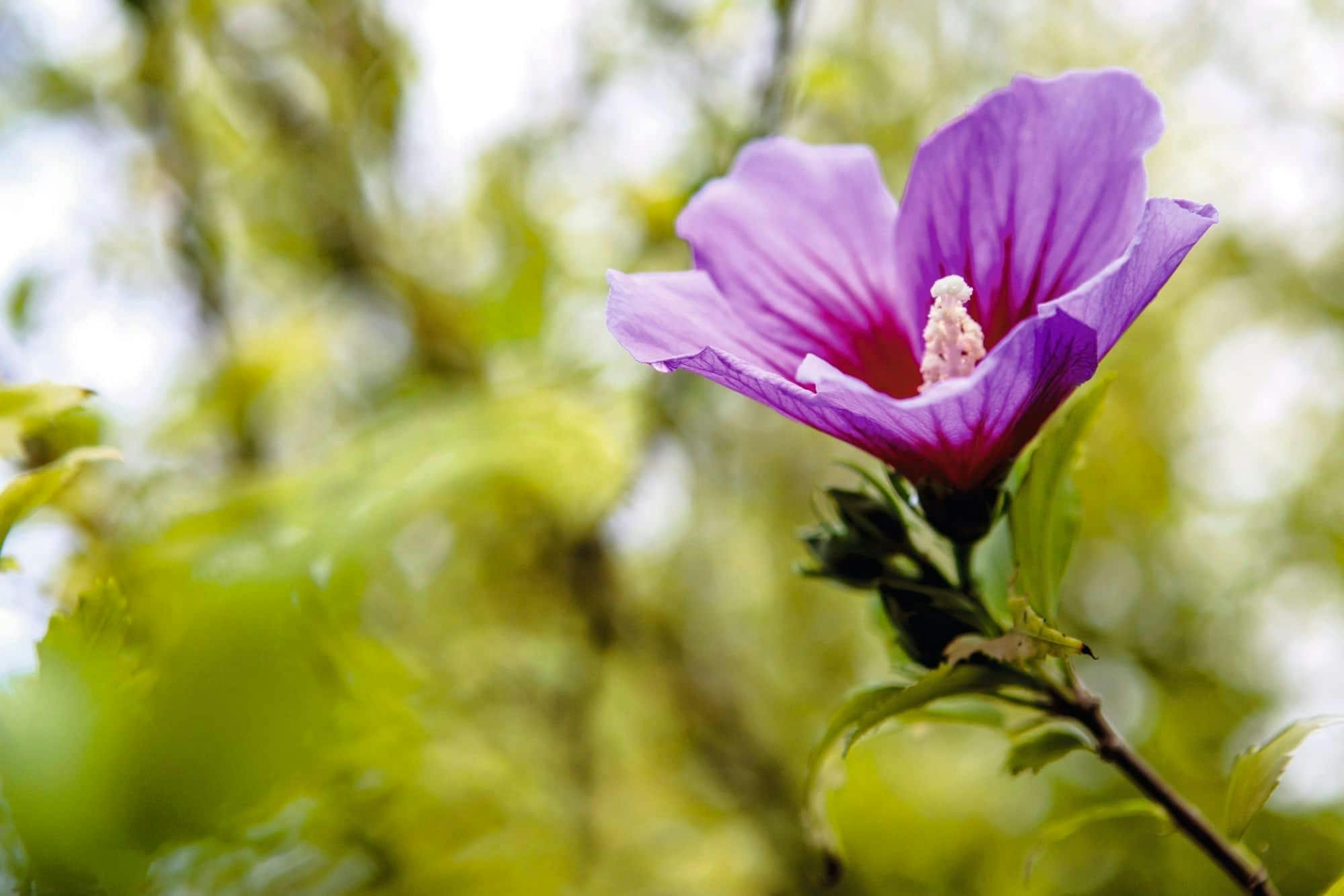 Crete Botanical Gardens Tour