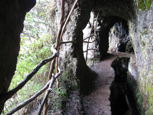 Guided trekking along Levada do Ribeiro Frio and Portela