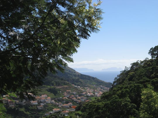 Guided trekking along the Levada de Maroços and Mimosa Valley