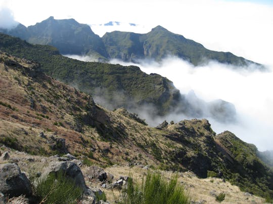 Guided trekking along a levada to the 3 peaks of Madeira