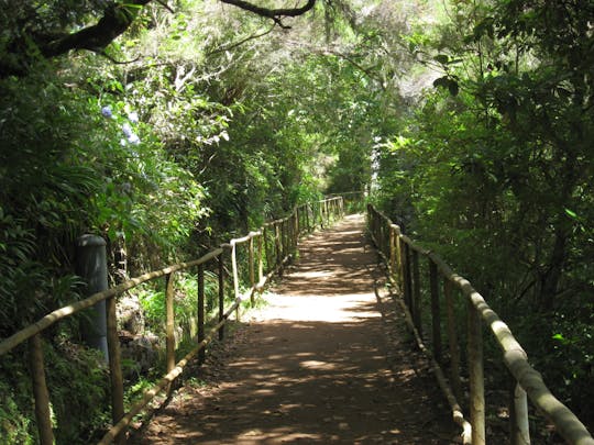 Guided trekking to Queimadas Levada, Caldeirão Verde and Santana