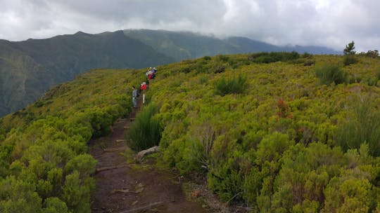 Guided trekking along the Levada do Fanal and Assobiadores