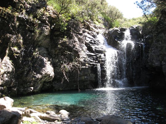 Levada da Lagoa do Vento and Alecrim guided walking tour