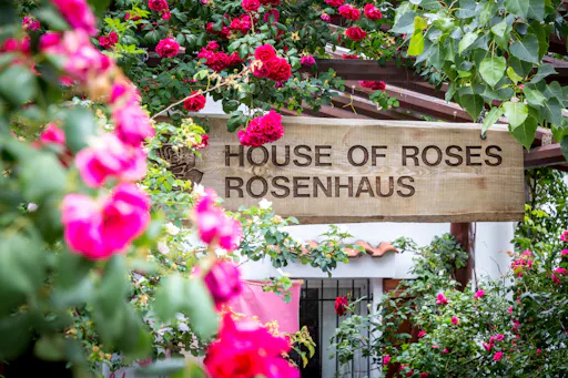 Cyprus Food and Wine Tour from Paphos