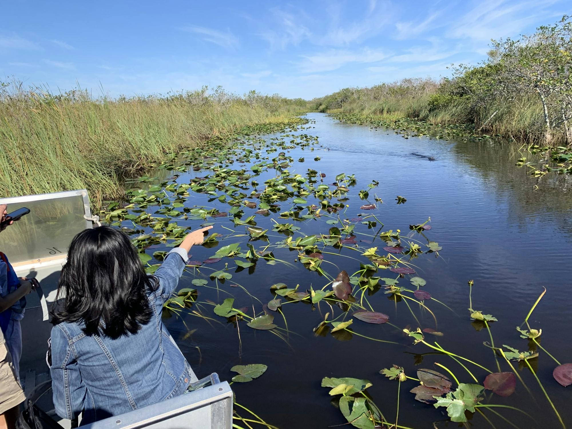 Everglades National Park airboat tour with pick-up from Miami