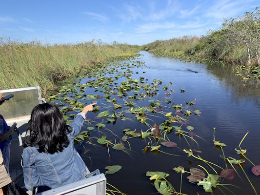 Tour en hidrodeslizador por el Parque Nacional Everglades con recogida en Miami