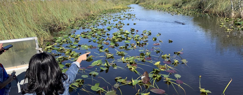 Tour en hidrodeslizador por el Parque Nacional Everglades con recogida en Miami