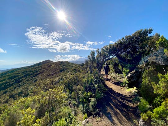 Teno Hiking Tour