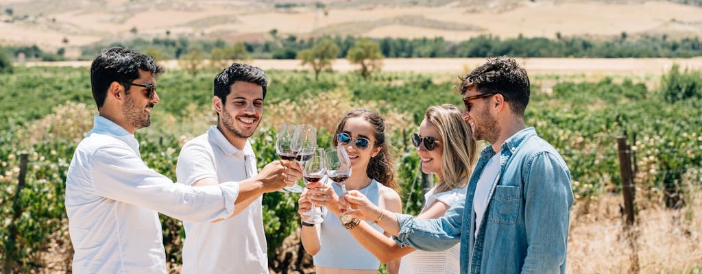 Tour por Toledo com degustação de vinhos saindo de Madri