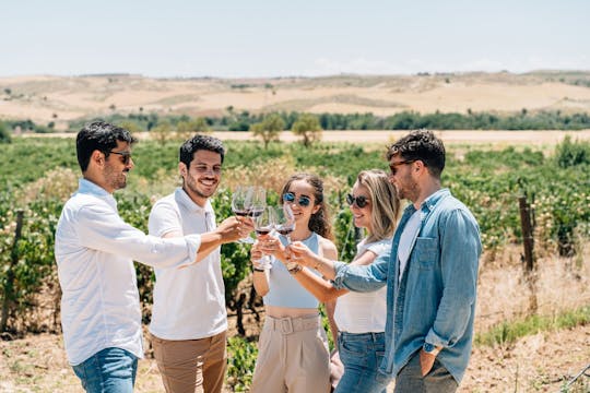 Tour di Toledo con degustazione di vini da Madrid