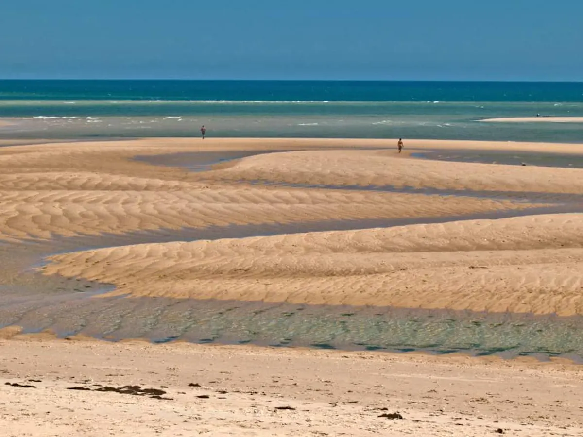 4x4 Safari and Ria Formosa