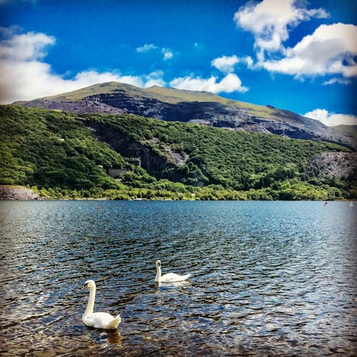 Snowdonia and the three castles tour