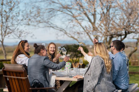Een perfecte wijn, natuur, liefde en leerervaring in Istrië