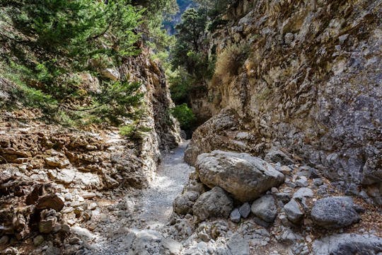 Imbros gorge hiking tour from Chania