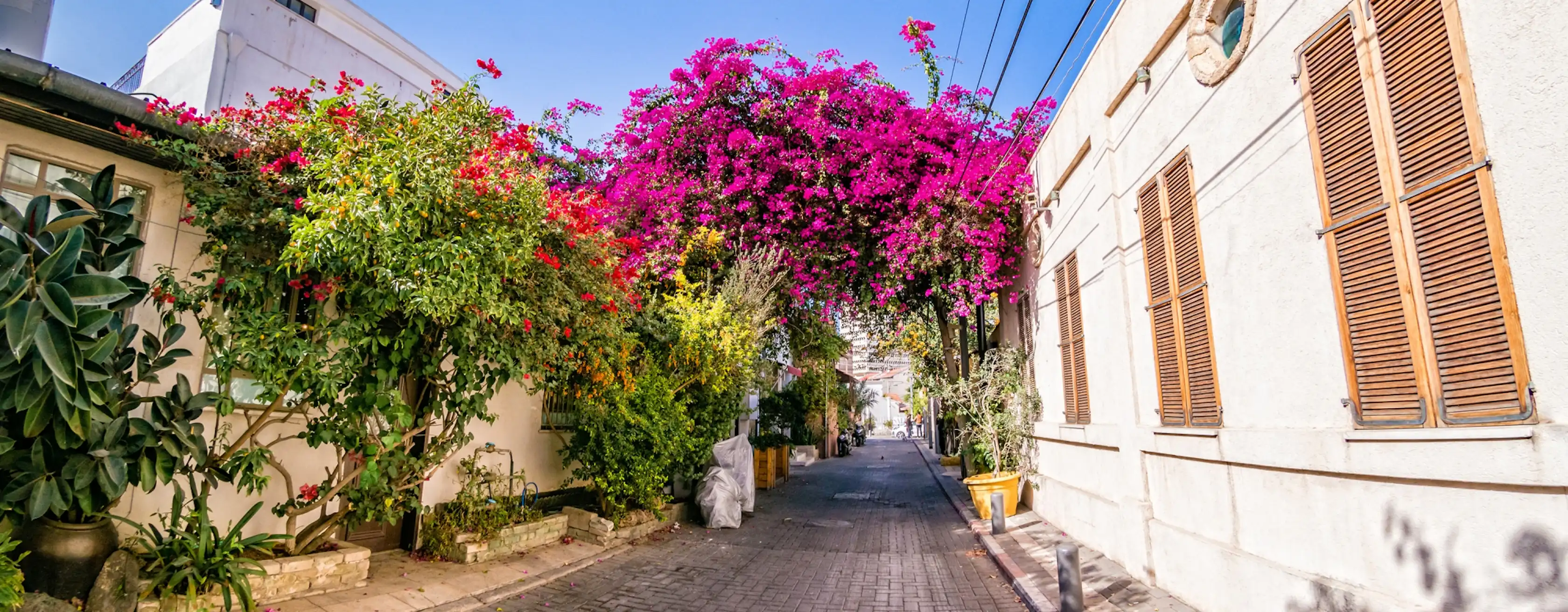 Neve Tzedek: entradas y tours