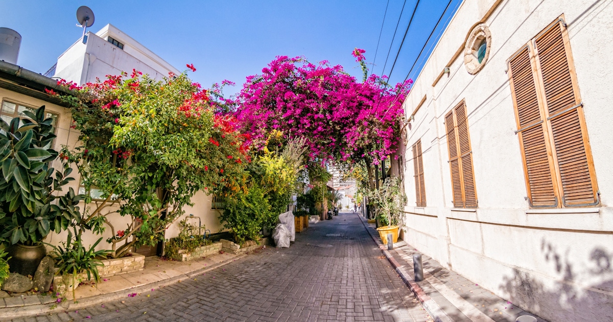 Neve Tzedek Tickets & Tours | musement