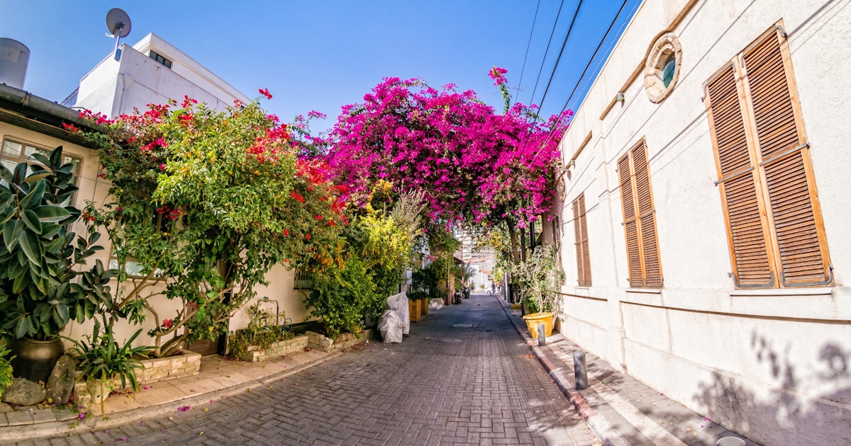 Neve Tzedek Tickets & Tours  musement