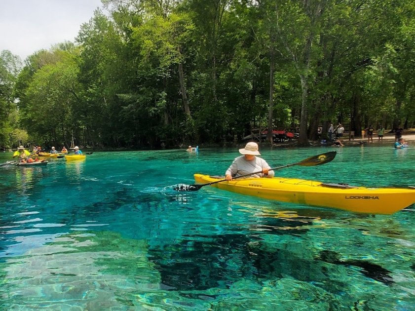 manatee-encounter-by-kayak-in-blue-springs-state-park-musement