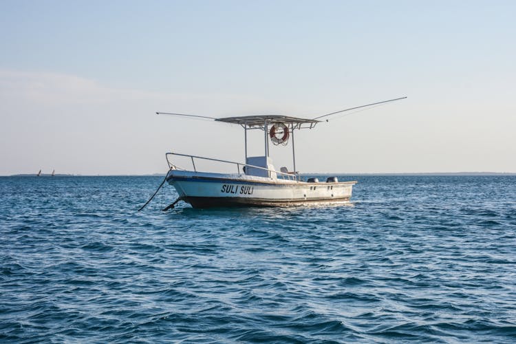 Deep sea fishing half-day tour in Zanzibar