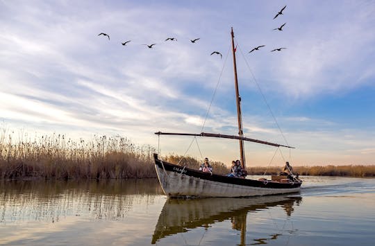 Guided tour of the Albufera with boat trip