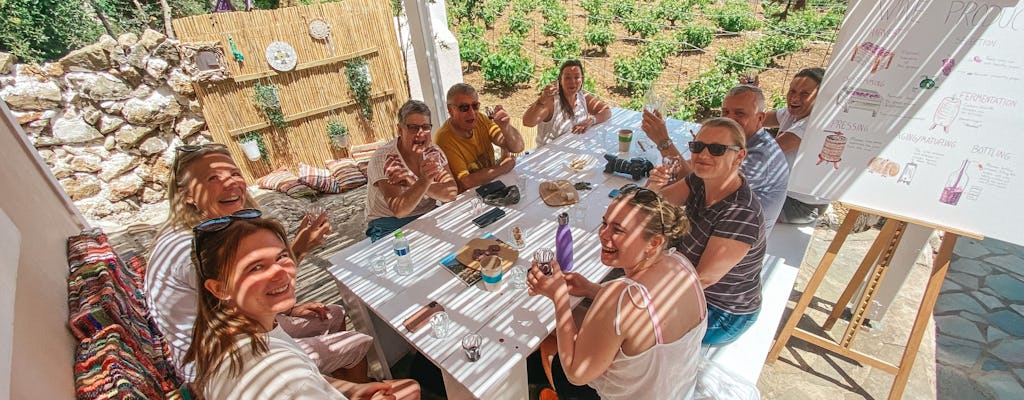 Visita guiada às vinhas com degustação de vinhos em Karpathos