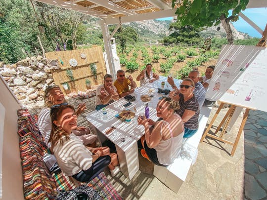 Visita guiada a viñedos con degustación de vinos en Karpathos.