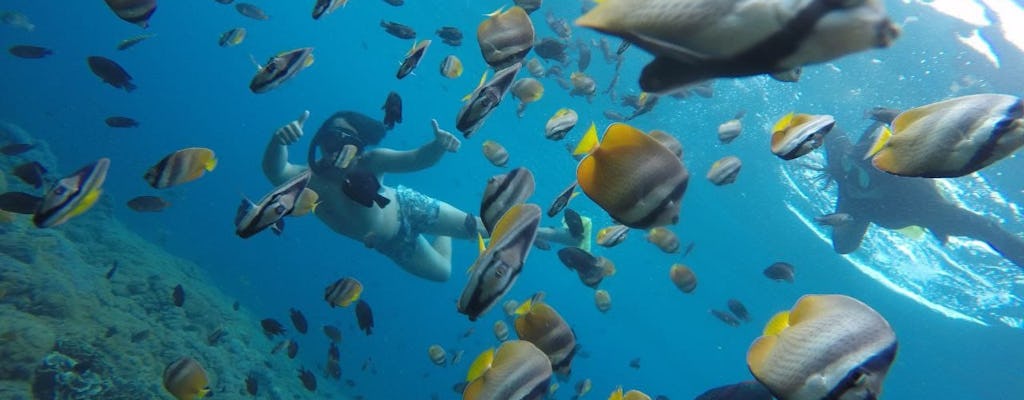 Experiência de mergulho em Nusa Penida com coleta em Bali