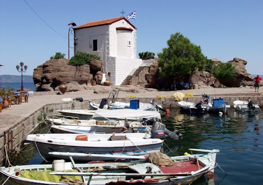 Billet d'excursion en bateau à Skala Sykaminia avec temps libre