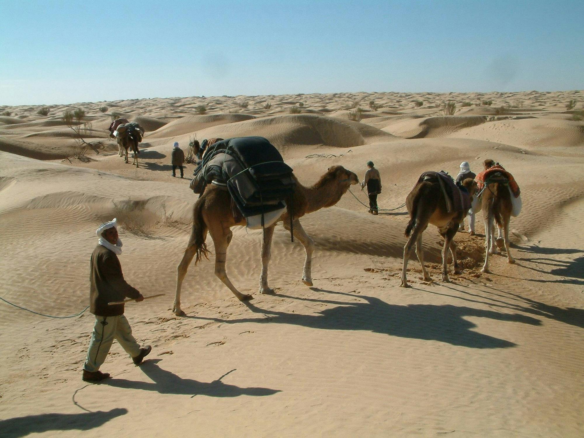 Tunisian Sahara Two-day Tour