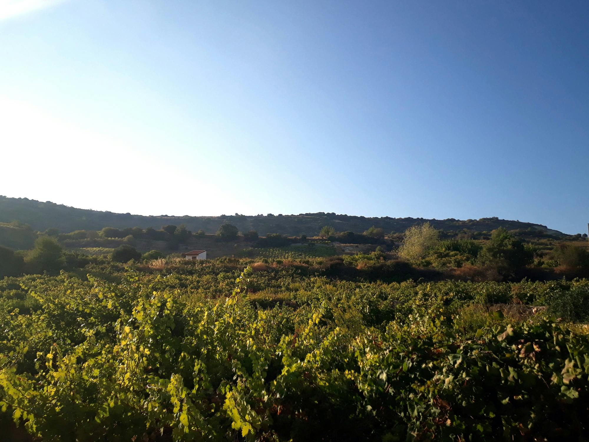 Small Group Tour of Troodos Villages with Kykkos and Lunch
