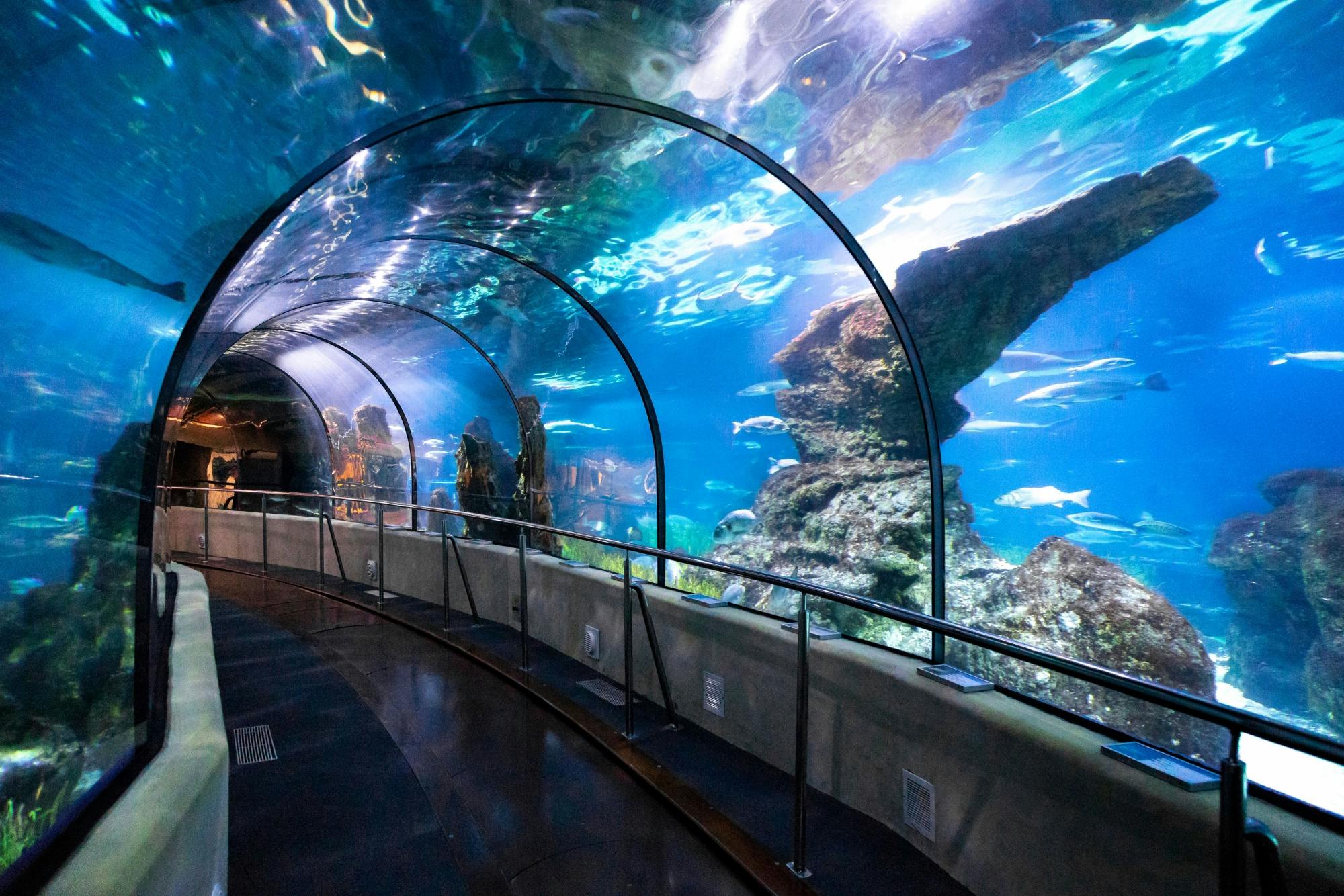 Barcelona Aquarium