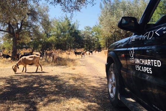 Utforska mer på södra Rhodos med en 4x4