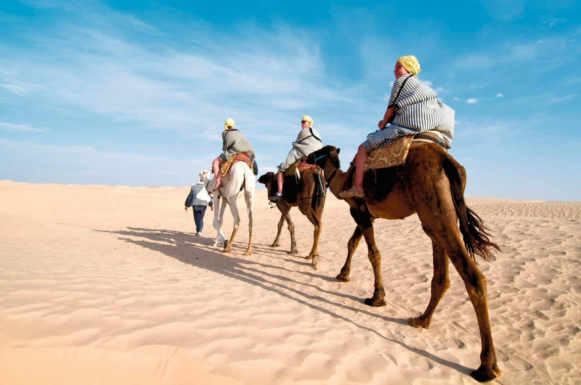 Djerba Dromedary Camel Tour