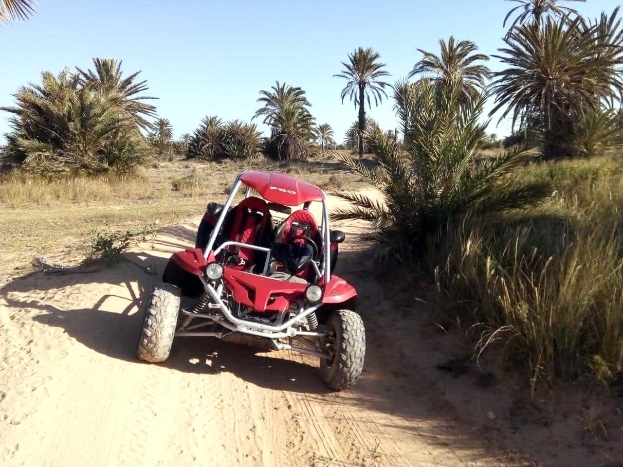 Excursion en buggy à Djerba