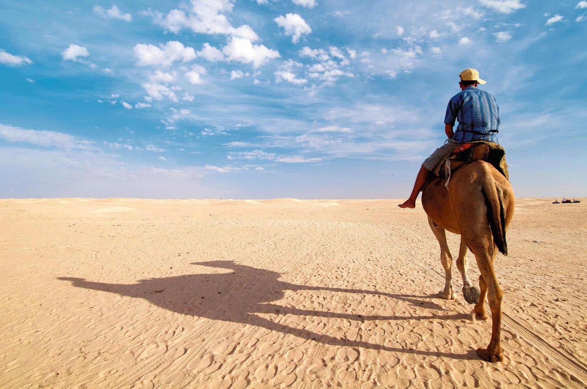 Djerba Dromedary Camel Tour