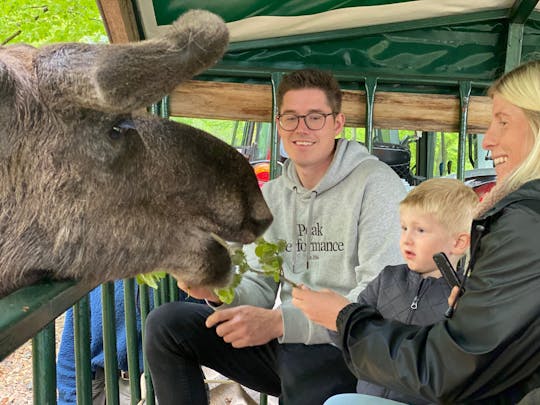 Moosesafari per koets bij Helsingborg