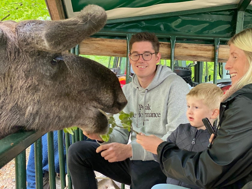 Helsingborg Nature, Landscapes & Wildlife Experiences Guide