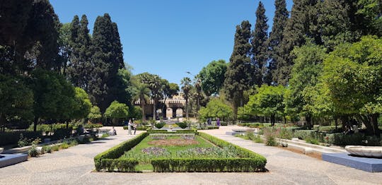 Fes private full-day guided tour from Casablanca