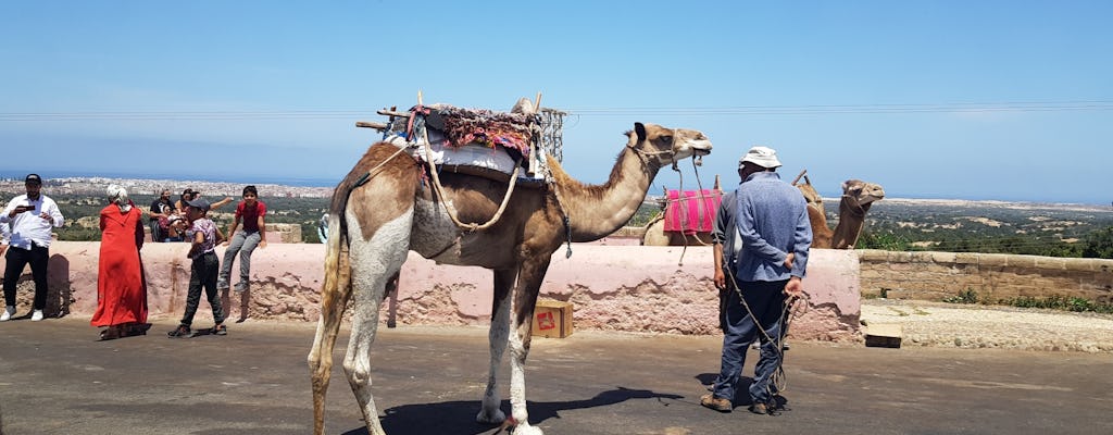 Tour guidato privato di un'intera giornata a Essaouira da Marrakech