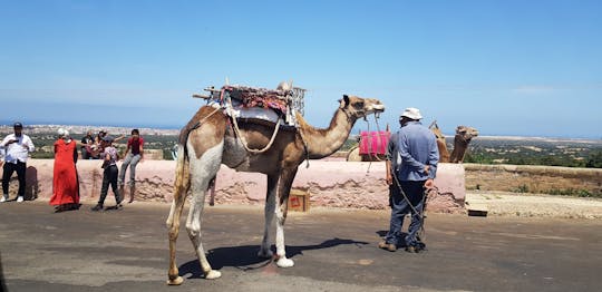 Excursão guiada privada de dia inteiro a Essaouira saindo de Marrakech