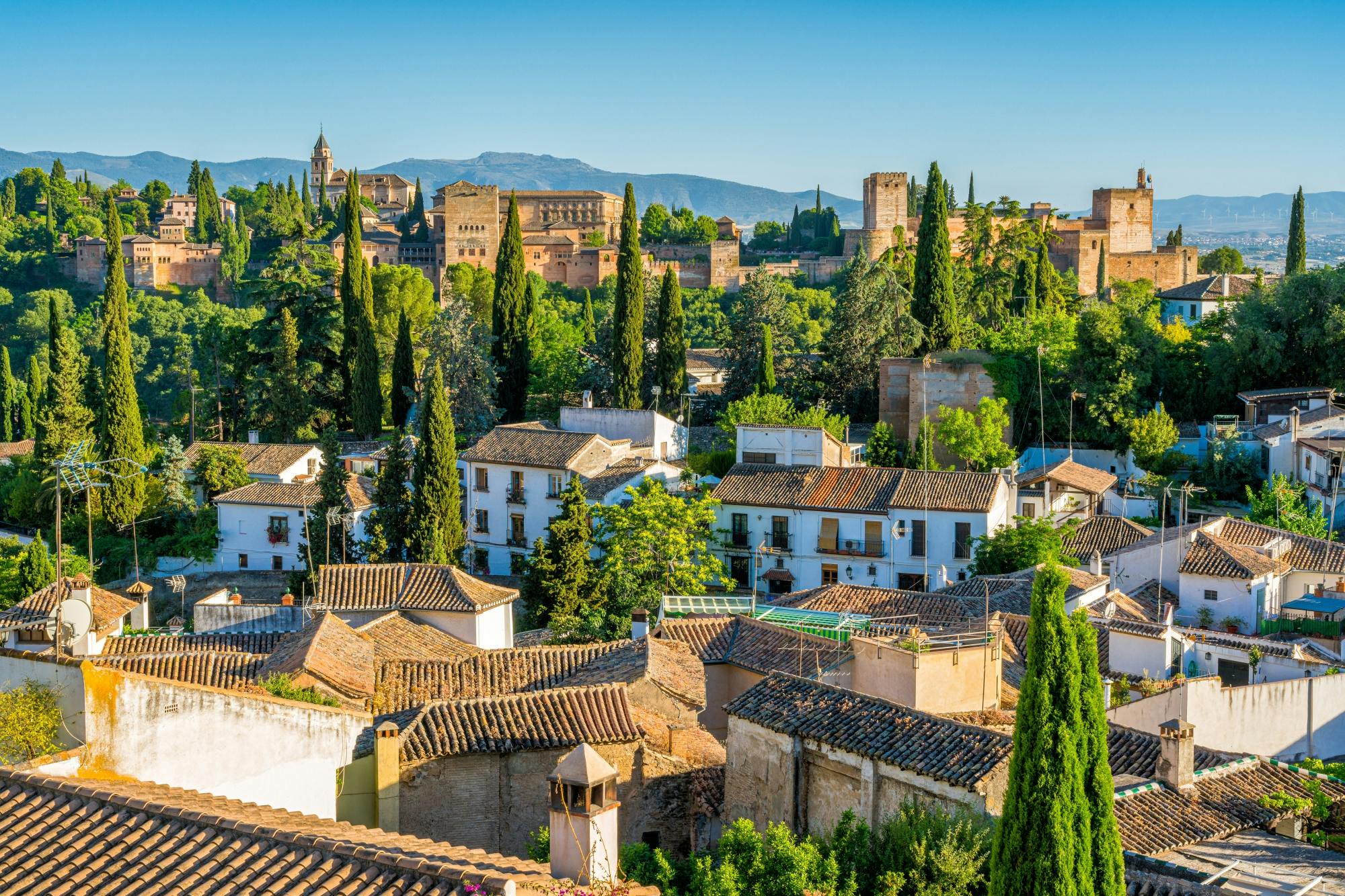 Alhambra, Granada Cathedral and Royal Chapel private guided tour