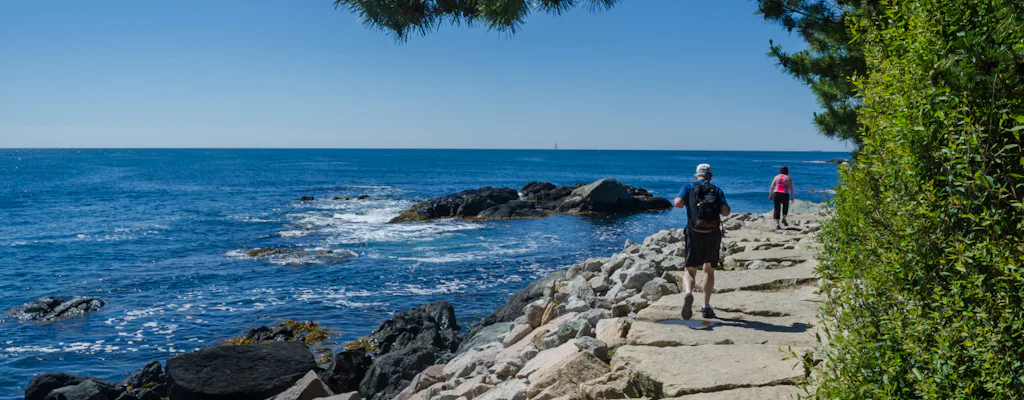 Newport Cliff Walk coastal path in Newport, Rhode Island (Musement)
