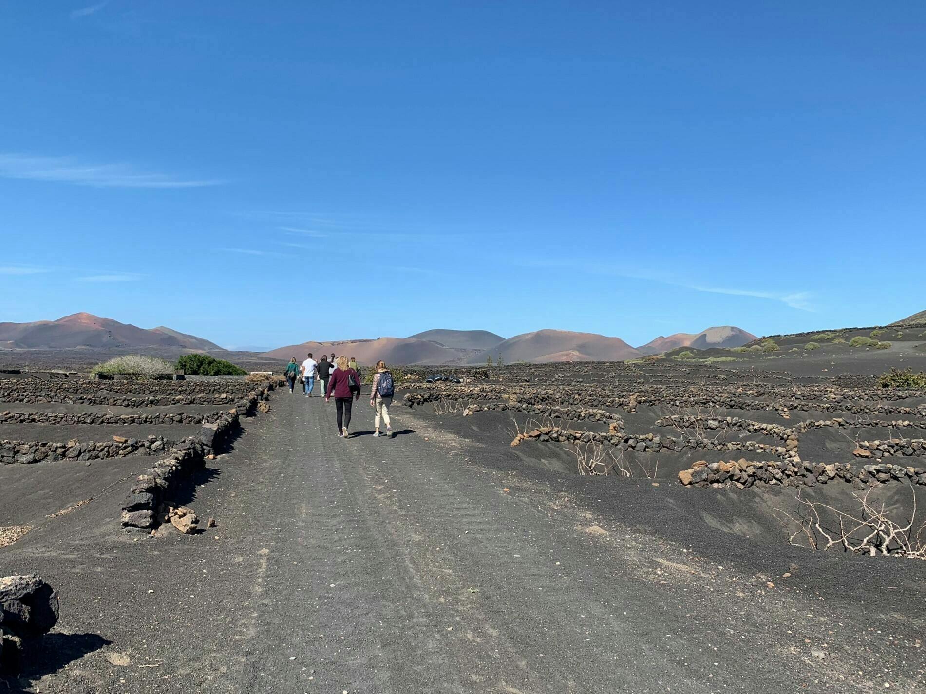 Lanzarote Volcanic Wine Tour