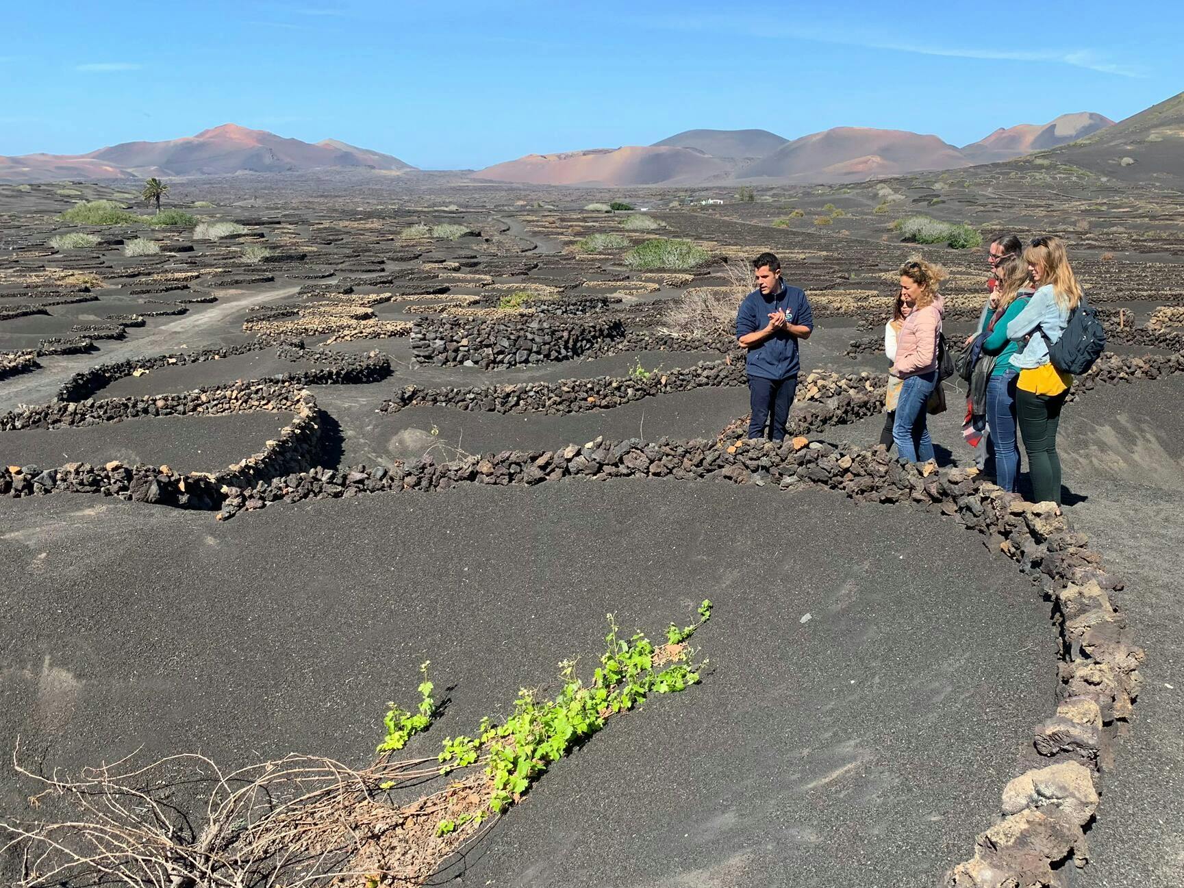 Lanzarote Volcanic Wine Tour