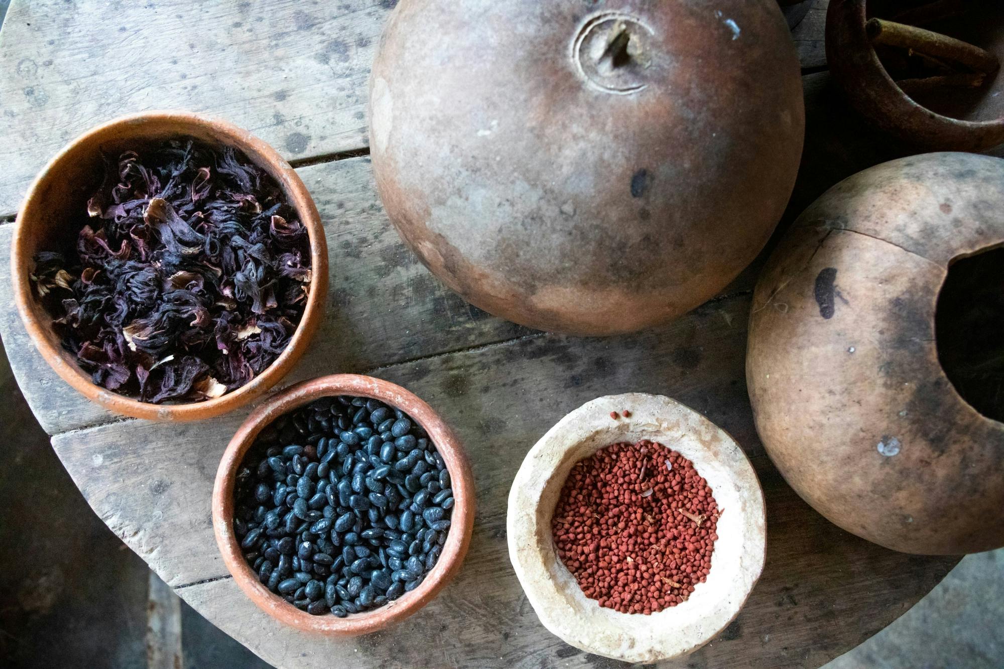 Chichen Itza & Maya Village Tour