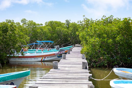 Visite de la réserve de Sian Ka'an avec balade en bateau et visite d'un village maya