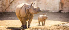 Terra Natura Benidorm